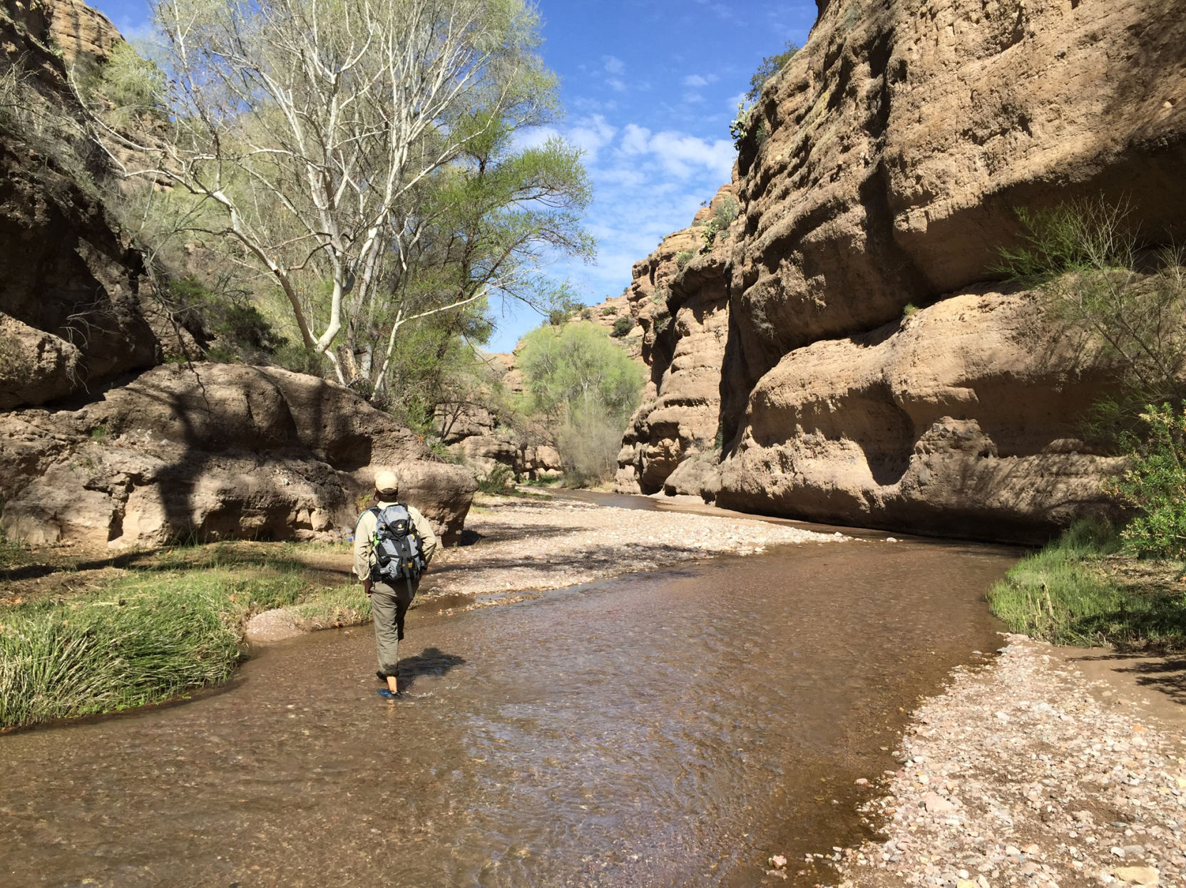 Aravaipa Canyon